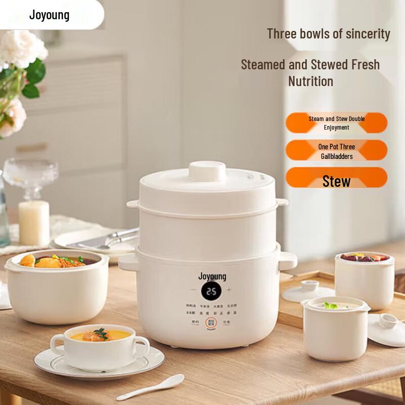 Joyoung Electric Stew Pot & Steamer CN plug (adapter included)