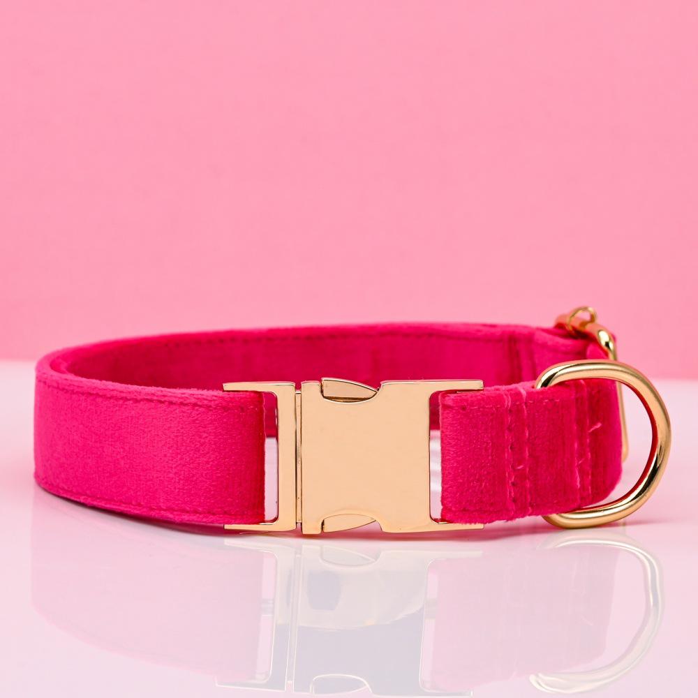 Ensemble collier et laisse pour chien en velours gravé avec boucle métallique réglable