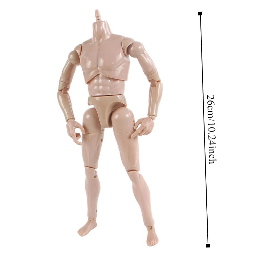 1/6 Doll Male Action Figure Solid Doll 1/6 Male Model Doll  Sketching Art Works