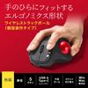 Sanwa Supply Wireless Trackball (Silent, 5 Buttons, Thumb Operation) MA-WTB185BK