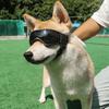 Dog Goggles Adjustable Windproof Anti-fog UV Protection Soft Frame Cat Puppy Cool Fashion Sunglasses Pet Supplies