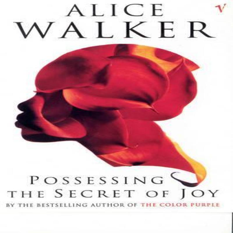 Possessing The Secret Of Joy by Alice Walker Paperback Book 9780099224112