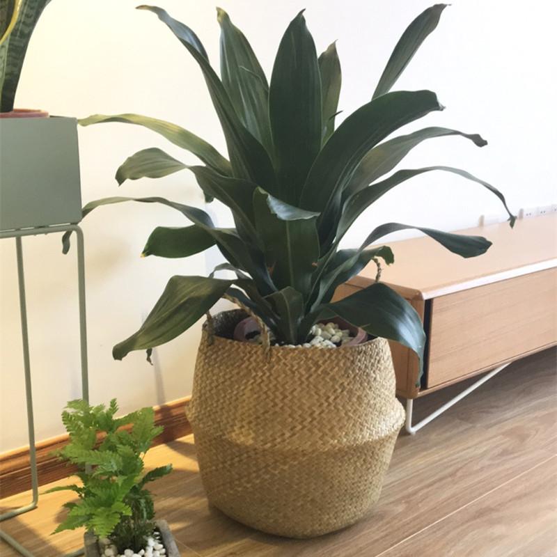 Nordic Portable Woven Flower Pot Seagrass Basket Big Belly Basket Plant Floor Folding Straw Storage Basket