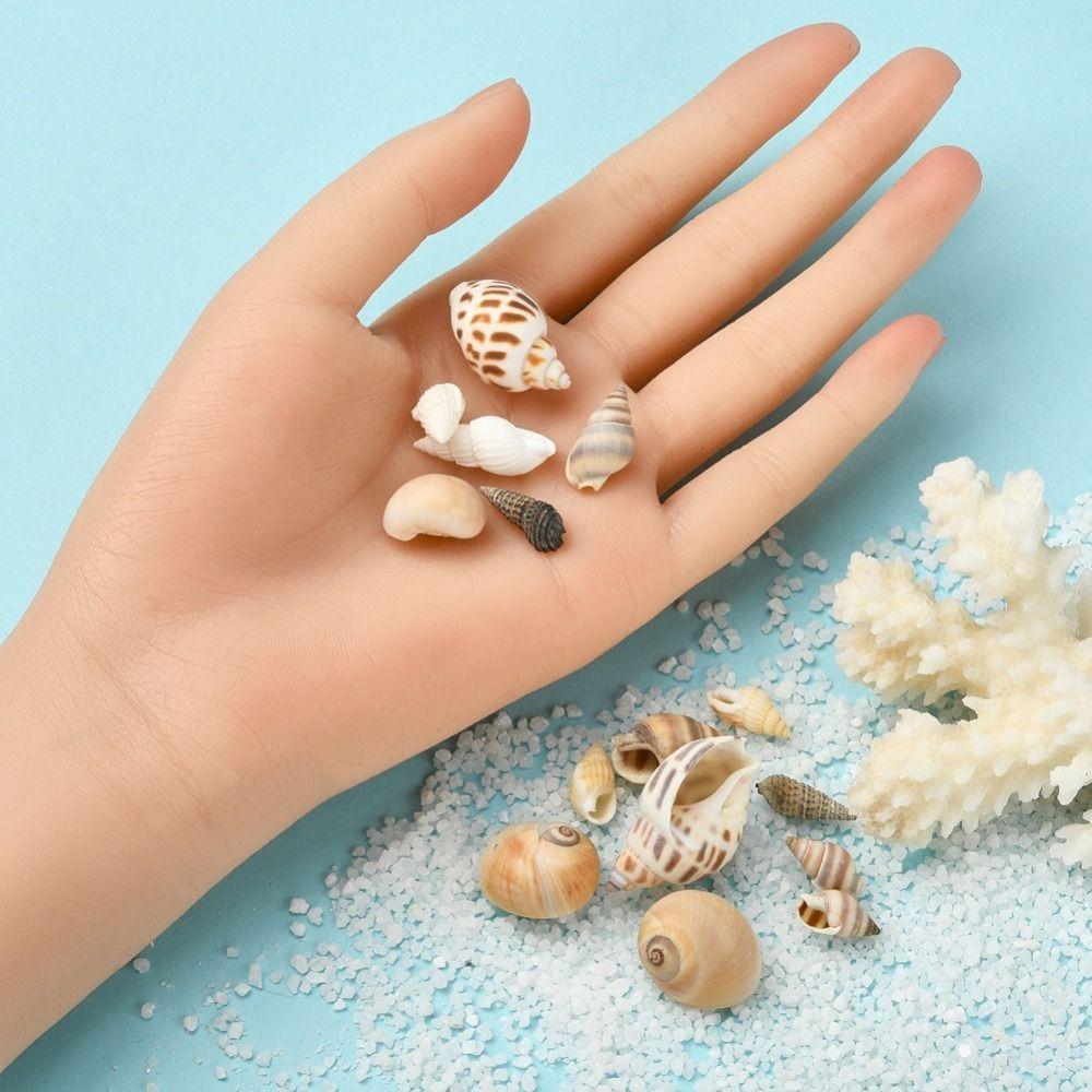 Shell Pendant Natural Sea Shells Aquarium Landscape Scallop Wind Chime Accessories Conch Fish Tank