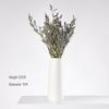 Modern White Ceramic Vase for Small Fresh or Dry Flowers - Dining Table & Living Room Decor