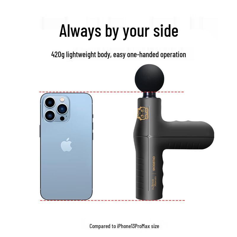 Sikasida Percussion Massager