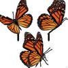 Butterfly Garden Decor Handcrafted Metal Art for Outdoor