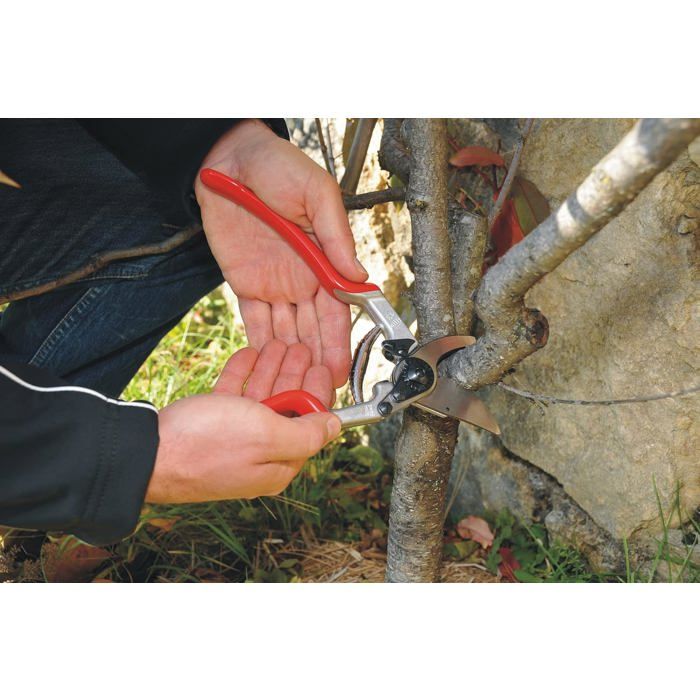 Sécateur - FELCO - Felco 13 - Ergonomique - Coupe Ø 30 mm - 270 mm