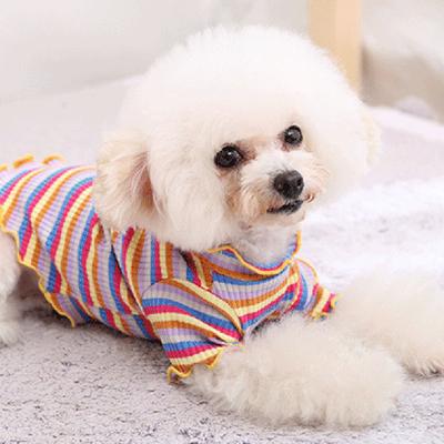 Puppy Shirt Cat Dog Rainbow Pet Winter Clothes Pajamas T-Shirt Cute Vest Pet Clothes Dog Clothes Ropa Para Perros