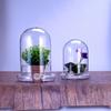 Fresh-keeping Micro Landscape Bottle Dust-proof Transparent Glass Cover  Bedroom