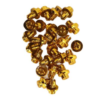 25pz Rivetti per Cerchi Oro ABS Rivetti Dadi per Labbro Cerchio per Cerchi Serie AH Ds Tappo Labbro