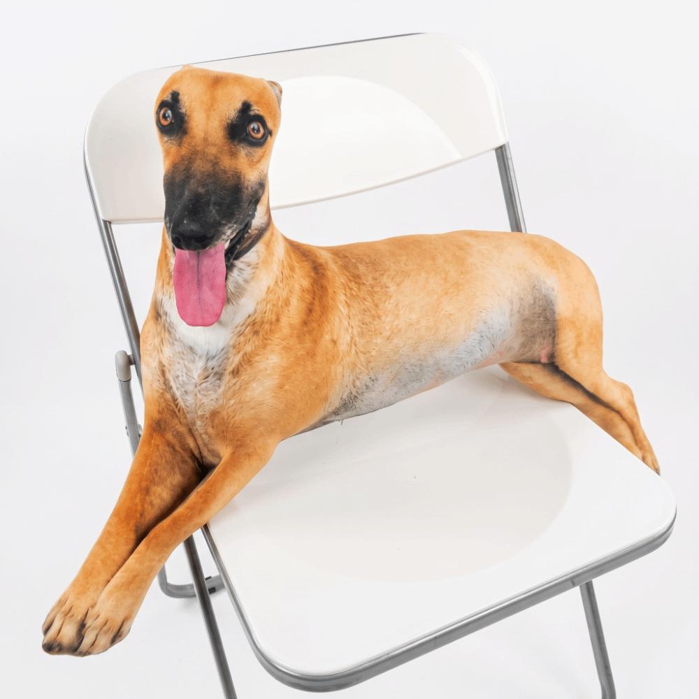 Realistic Plush Pillow Lifelike Stuffed Puppy Dog Greyhound Stuffed Animal Sleeping Companion