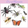 Jungle Rainforest Insect Butterfly Poison Spider Pvc Model Set With Realistic Wildlife Display For Nature Enthusiasts