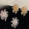Raffinati Orecchini Fuochi d'Artificio in Zircone con Design a Cielo Stellato