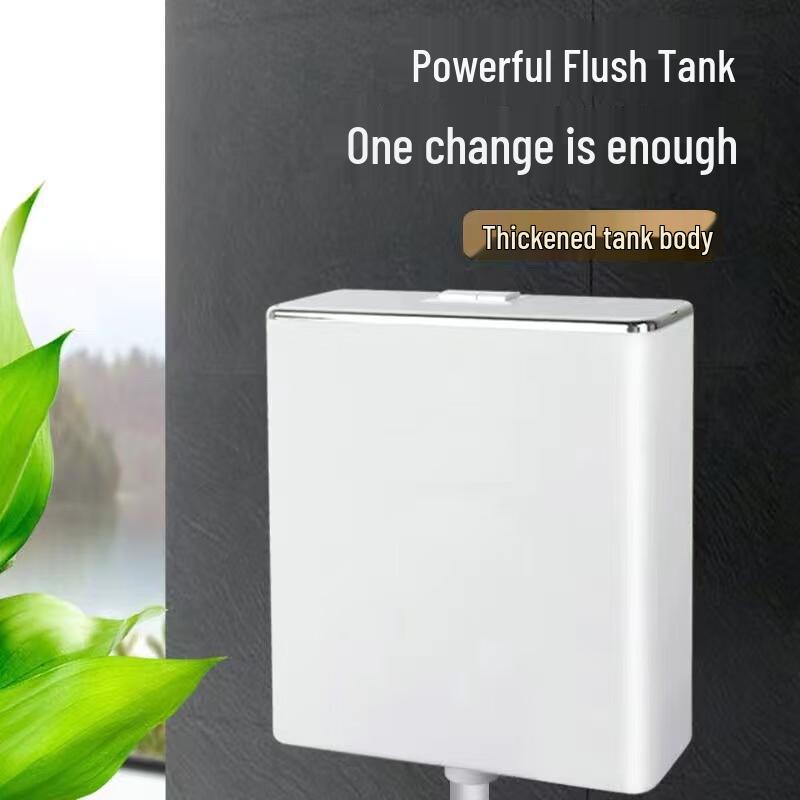 Bingyu Wall-Mounted Toilet Tank