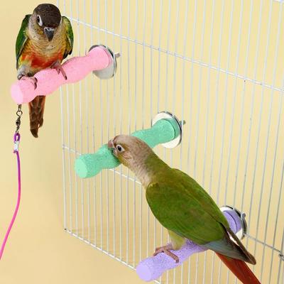 ציפורים – צעצועים לציפורים