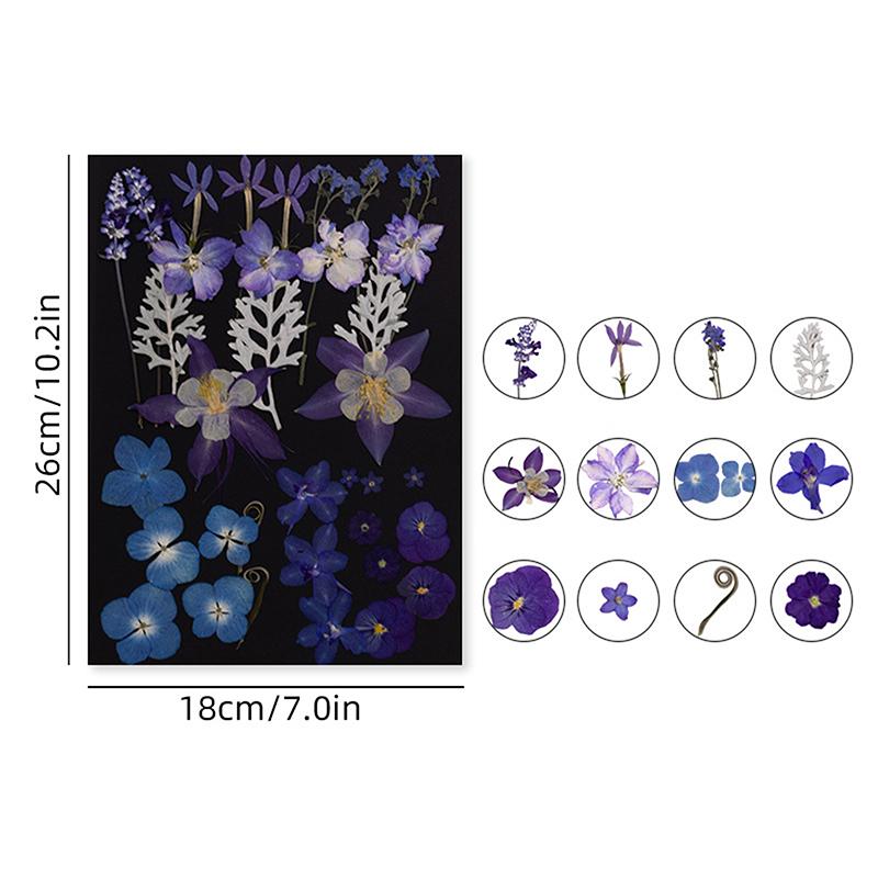 Dry Embossed Flower Diy Hand-Drop Glue Photo Frame Decorative Real Flower Plant Specimen Dried Flower Materials