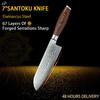 Kitchen Knife 67 Layers Damascus Steel Santoku Knife Slicing Utility Paring Bone Cutter Steel Razor Sharp Blade Colorful Wood