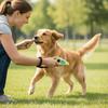 2 in 1 Pet Training Clicker Portable Adjustable Wrist Strap Dog Training Whistle Professional Pet Sound Trainer