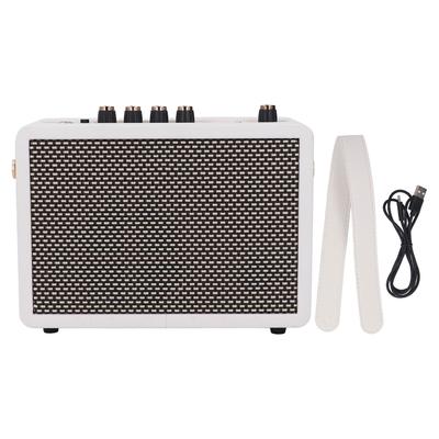 Small Guitar Amplifier 10W Clean Distortion Overload Reverb Effects Desktop Electric Guitar Practice Speaker