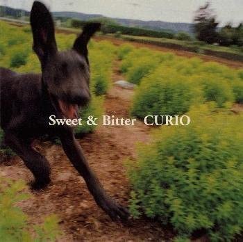 CD CURIO NOB BRITAIN AJA JIN YOSHI SweetBitter ESCB1899 1998 Japan Japanese PopRock Used