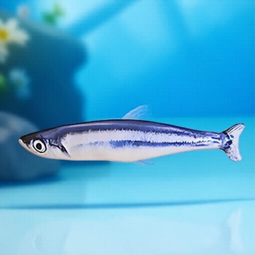 Interactive Catnip Plush Simulation Fish Chew Toys for Cats Soft 3D Fish Shape Catnip Filled Toys