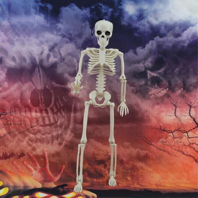 40cm Plastic Human Skeleton Model with Movable Joints for Halloween Decoration and Teaching Display