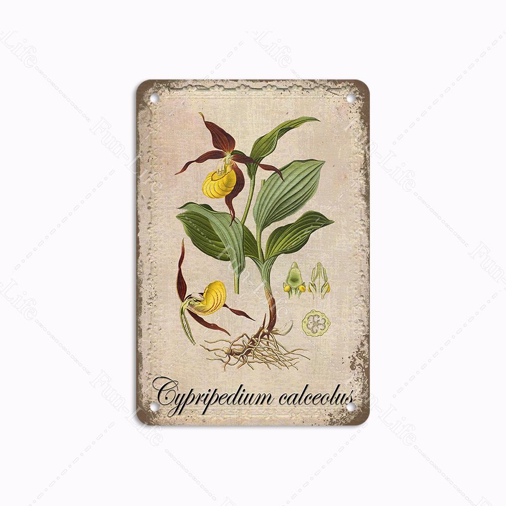 Metallblechschilder im Vintage-Stil mit Blumen, Retro-Grünpflanzen, Metallplakate, Schilder, Plakette für Bar, Kneipe, Garten, Bauernhof, Heimwanddekoration, 20 x 30 cm