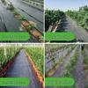 Weed Control Fabric