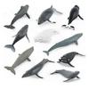 PIGMANA Realistic Whale Figurines Toy - Play Sea Animals Figurines Set - Toy For Kids, Realistic Set For Sea Lovers, Includes Beluga