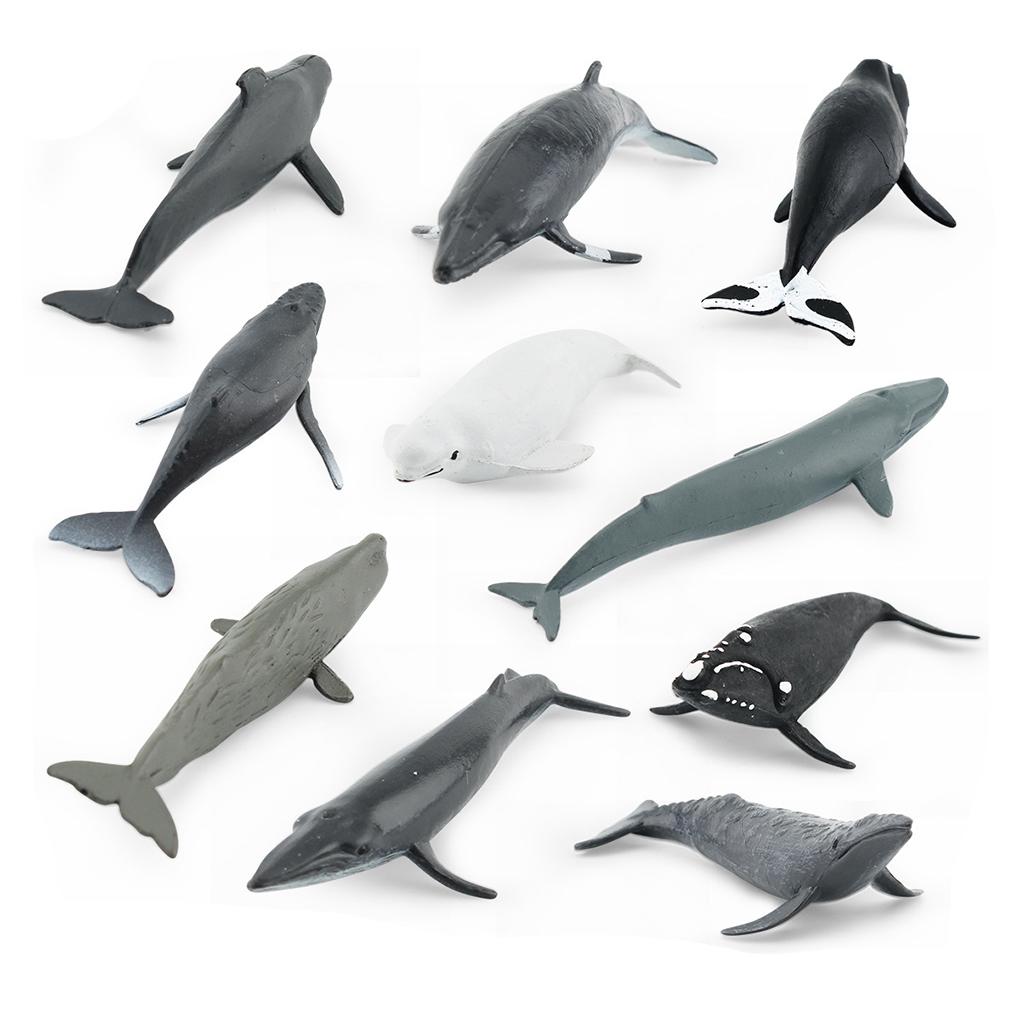 PIGMANA Realistic Whale Figurines Toy - Play Sea Animals Figurines Set - Toy For Kids, Realistic Set For Sea Lovers, Includes Beluga