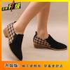 Fashion Versatile Casual Comfortable Deep Mouth Women's Single Shoes 2025 Spring and Autumn New Pointed Thick Heel Foot Shoes Women