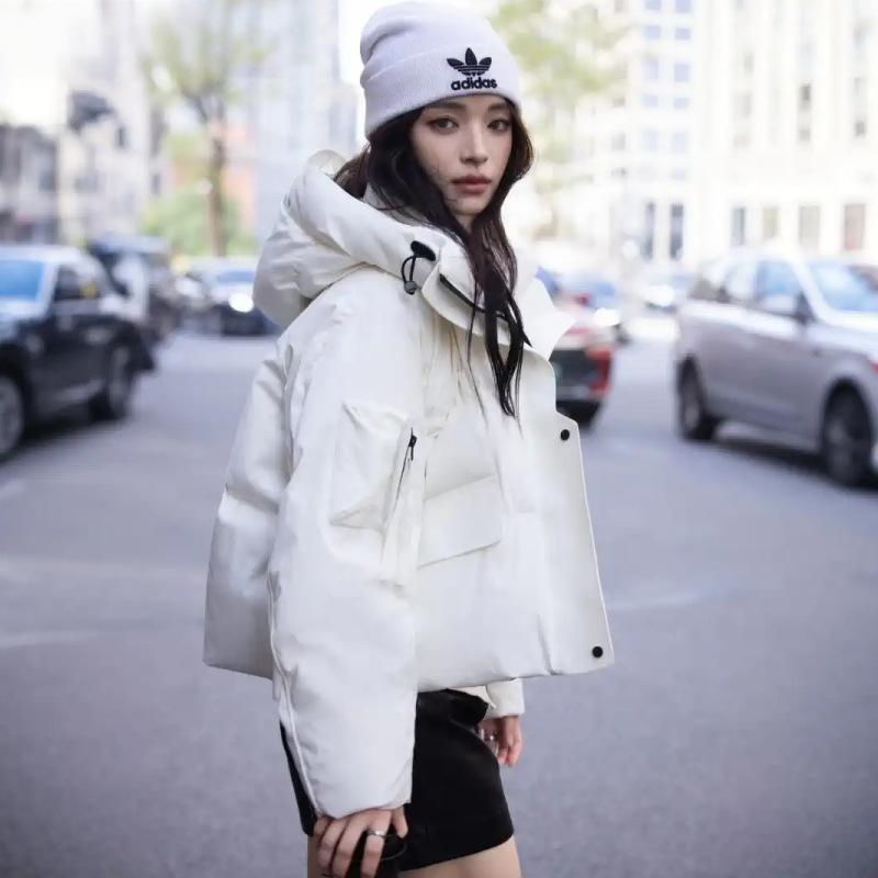 Nouvelle Veste d'Hiver Version Coréenne pour Femmes, Tempérament Décontracté Ample, Manteau Court Rembourré.