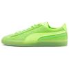 Puma Suede Triplex Mono 'Quake - Green Glare' (Unisex) Green Glare / Green Flash / Irish Green Skate Shoes 384164 02