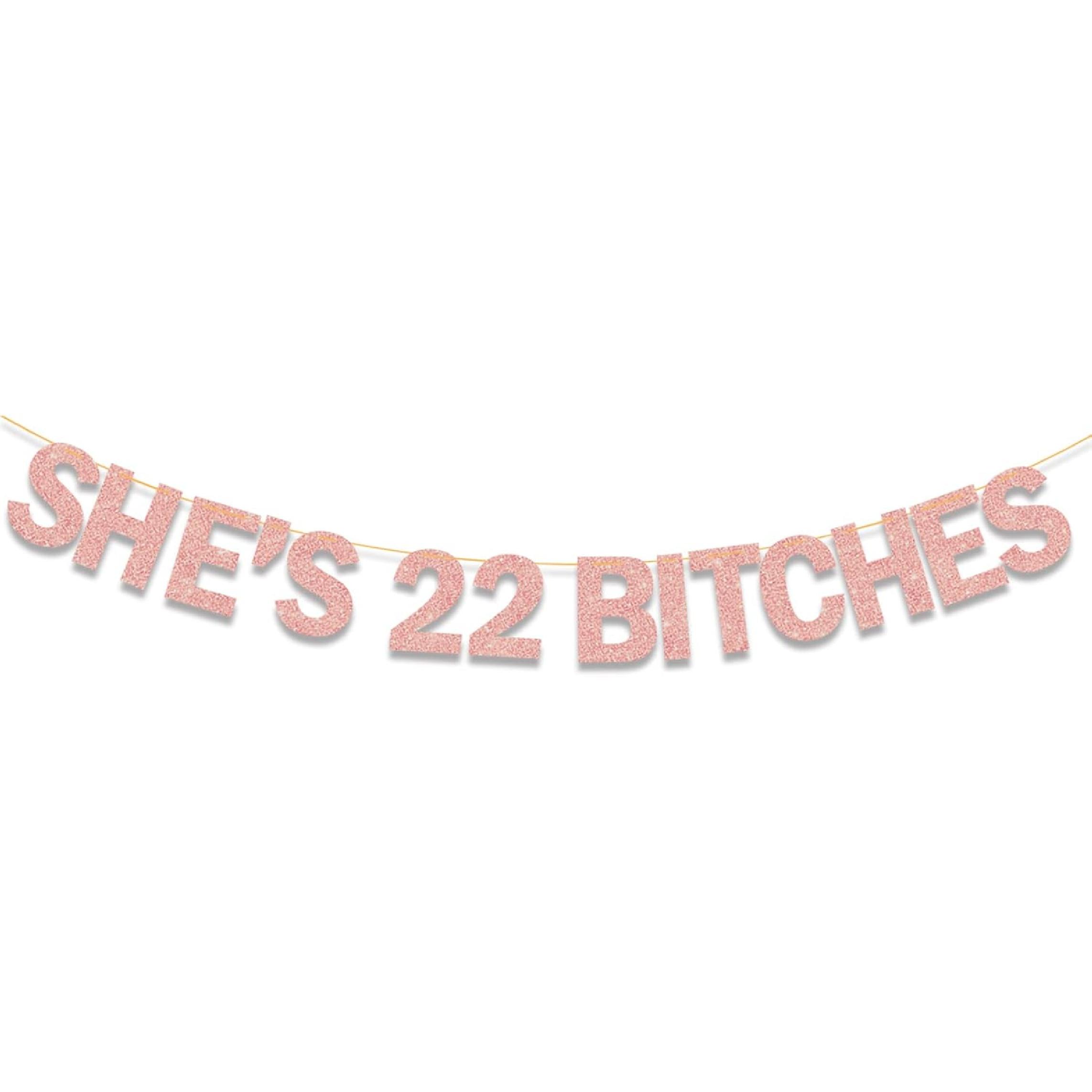 She s 22 Bitches Banner 22nd Birthday Decorations for Women, Funny Glitter 22nd Birthday Banner, Rose Gold She’s 22