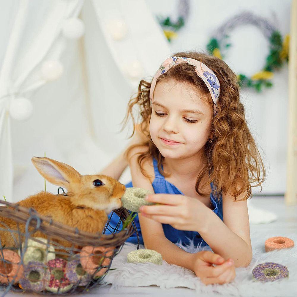 Flowers Flavored Chinchillas Snack Food Cookie Hamster Treats Rabbit Chew Toys Timothy Hay Cakes