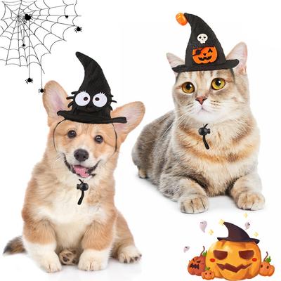Kedi – Kediler için giyim