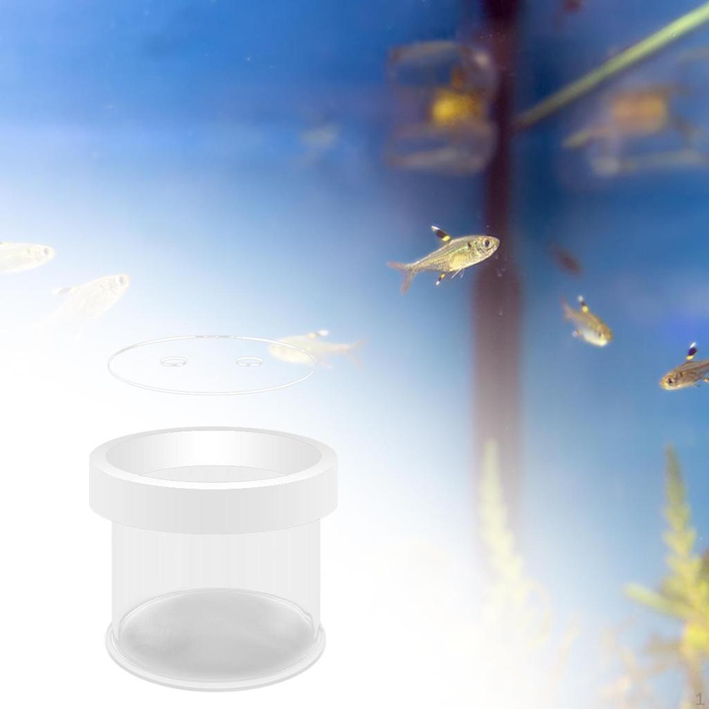Aquarium Breeder Box Fish Isolation Floating Separation Egg Net Incubation