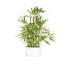 365 Blooming Decor ornamental artificial bamboo bonsai fake green foliage plant tree flower air purifying height 46cm indoor office potted lucky