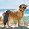 Dog Hip Leg Brace Sleeve Adjustable Quick Installation Soft Anti Slip Strap