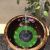 Solar Water Fountain with Led Lights Garden Fountain with Adjustable Nozzles Floating Solar Water Fountain with Led for Outdoor