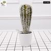 Oulifei Premium Artificial Tropical Succulent Cactus Bonsai for Home Decor