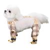Mode Hond Beenbeschermer Broek Waterbestendig Stof Dicht Voetbedekker Broek Voor Kleine Rassen Wandelen Training