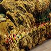 Three-piece Digital Printing Quilt Cover Set with Seaside City Scenery