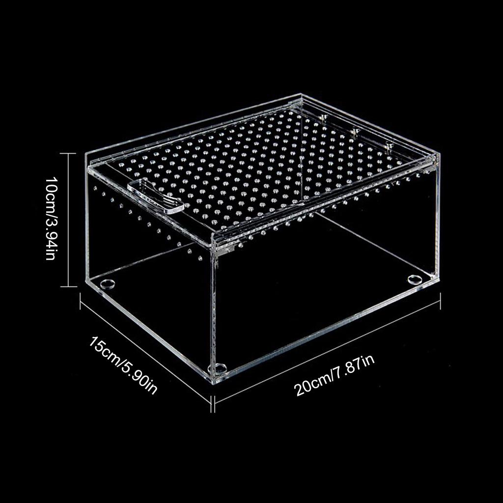 Reptil Habitat Terrarium Oppdrettsboks Akryl Insektfôringsboks Treledyr Tarantula Innhegning Scorpion Bearded