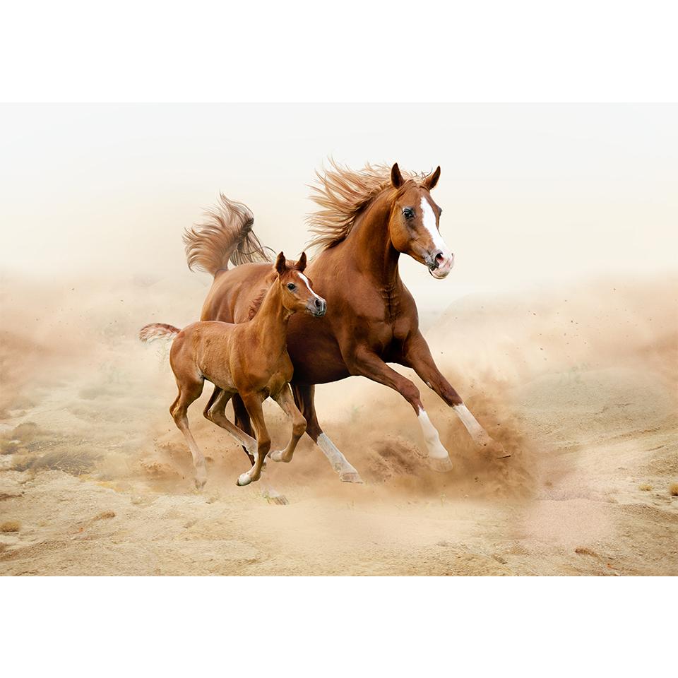 DIY 5D Diamond Painting Animal Horse Rhinestone Pictures Cross Stitch Kit Full Diamond Embroidery Mosaic Gifts Home Decor