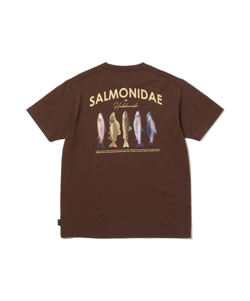 Northland Trout Dry Short M [Snow Peak] T-Shirt TS-26SU008 T-shirt, Sleeve, Men's/Women's, BROWN,