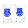 Shot Glass Set (Pack of 2)