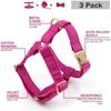 Pet Collar with Zinc Alloy Buckle M Size Harness (Width 2.5cm Neck 38-57cm Chest 45-72cm) 120CM Leash 11*6CM Bow Set
