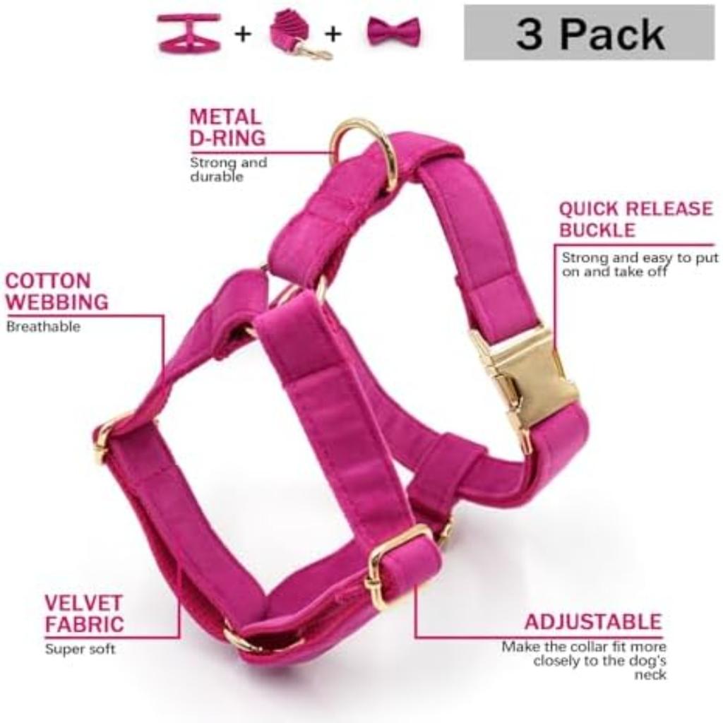 Pet Collar with Zinc Alloy Buckle M Size Harness (Width 2.5cm Neck 38-57cm Chest 45-72cm) 120CM Leash 11*6CM Bow Set